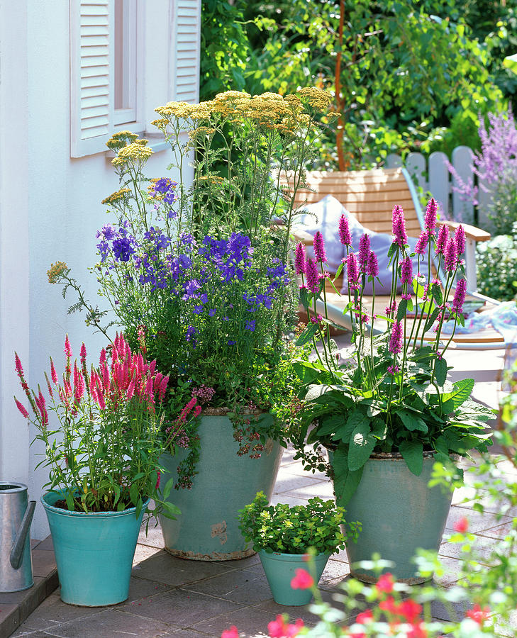 Turquoise Pots Planted Differently #1 Photograph by Friedrich Strauss
