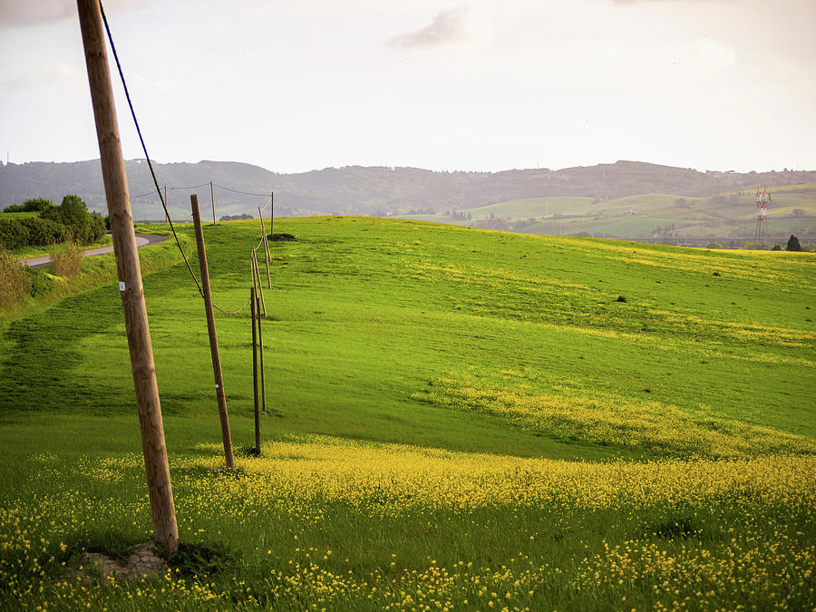 Tuscan Landscapes. Hills in the spring by Giovanni Bertagna Tuscan Landscapes. Hills in the spring by Giovanni Bertagna