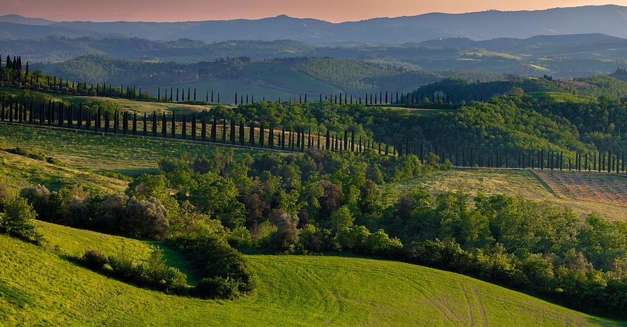Tuscany Green Hills #1 Photograph by Slawomir Kowalczyk
