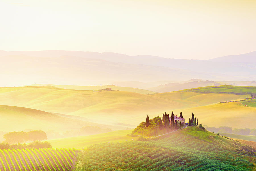Tuscany, Tuscan Landscape, Italy #1 Digital Art by Francesco Carovillano