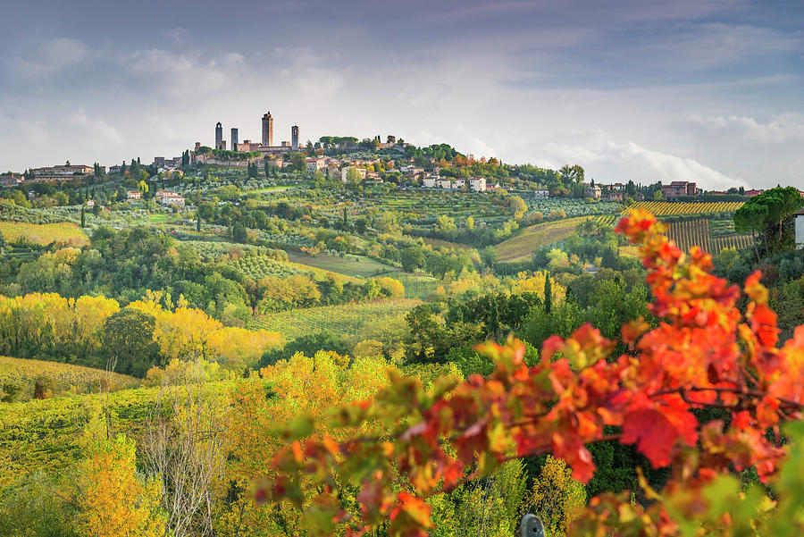 Tuscany, View Of San Gimignano, Italy #1 Digital Art by Stefano Coltelli