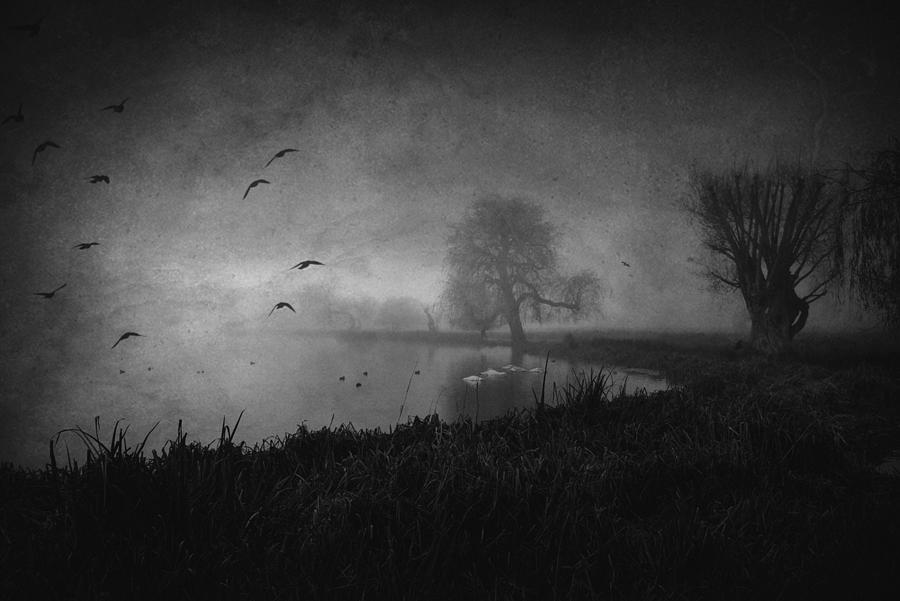 Vintage Photograph - Twilight In The Swamp... #1 by Robert Fabrowski