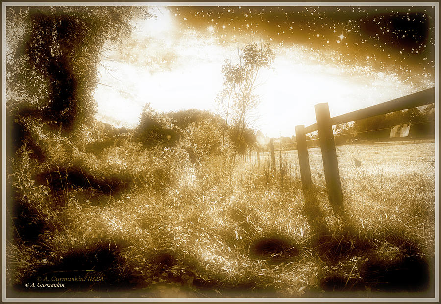 Twilight Over a Meadow #1 Photograph by A Macarthur Gurmankin