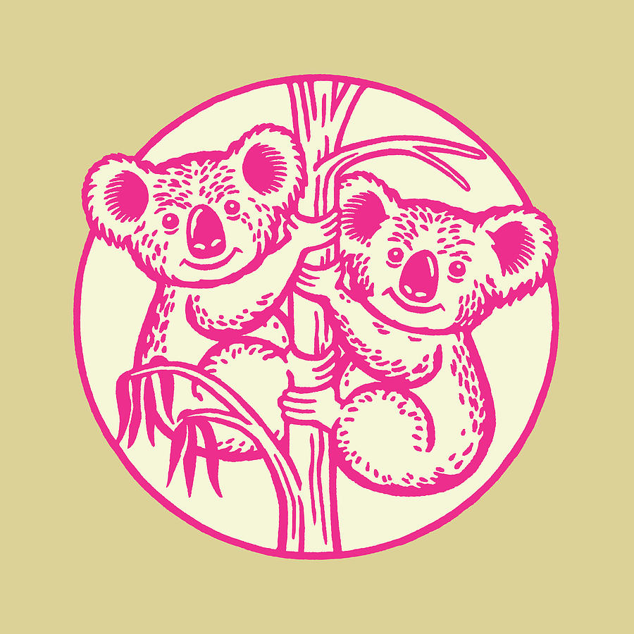 Vintage Drawing - Two Happy Koalas #1 by CSA Images