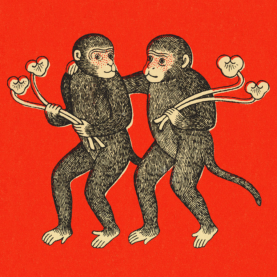 Vintage Drawing - Two Monkeys #1 by CSA Images
