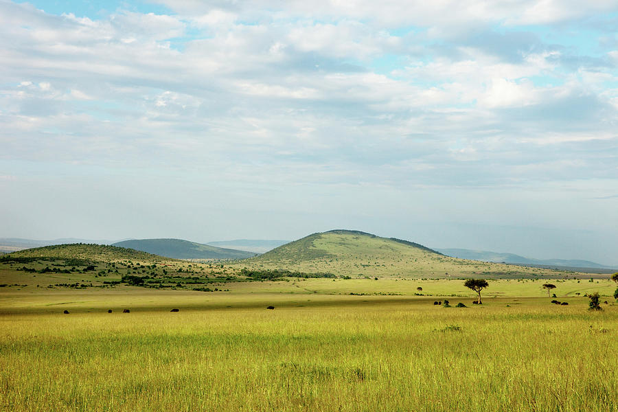 Typical Landscape Of The Savannah, Safari, National Park, Masai Mara, Maasai Mara, Serengeti, Kenya #1 Photograph by Florian Stern