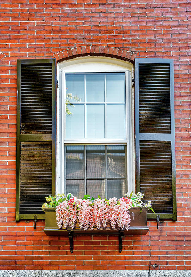 Typical Window In Beacon Hill, Boston, Ma #1 Digital Art by Laura Zeid