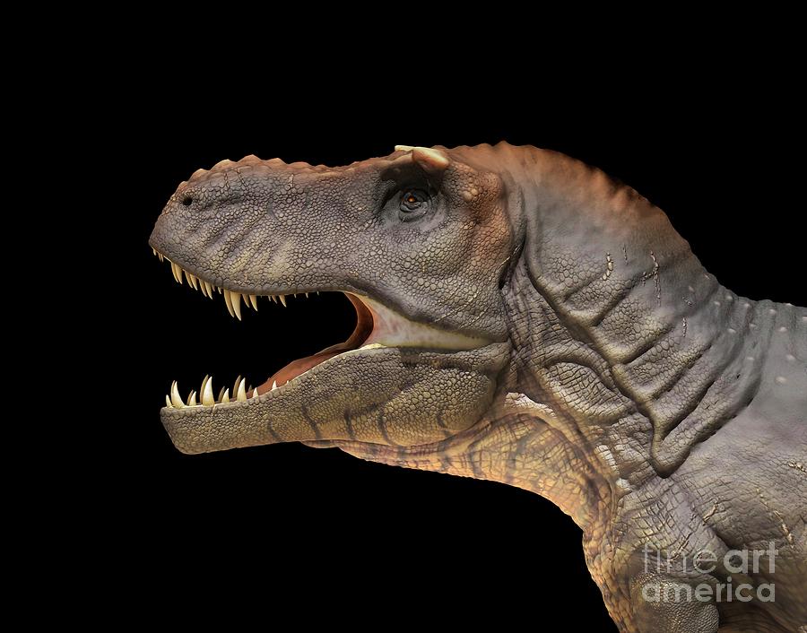 Tyrannosaurus Dinosaur #1 Photograph by Mikkel Juul Jensen / Science Photo Library