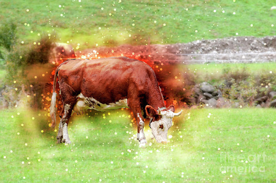 Tyrolean Brown Cow #1 Digital Art by Humorous Quotes