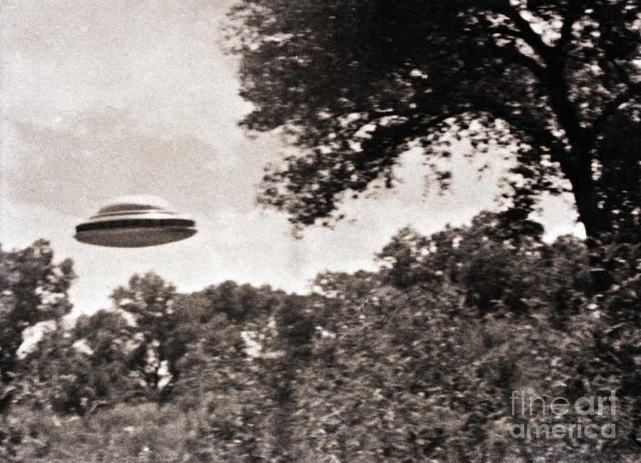 Ufo Flying Low Over Trees #1 Photograph by Bettmann