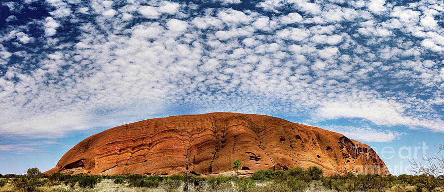 Spring Photograph - Uluru And Altocumulus Stratiformis Clouds #1 by Stephen Burt/science Photo Library
