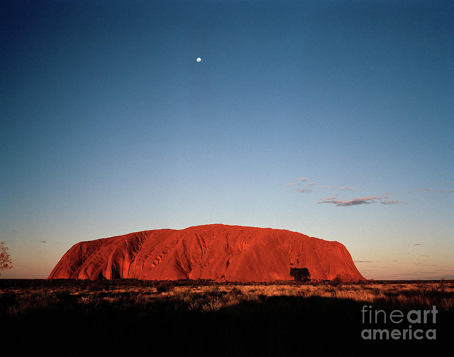 Sunset Photograph - Uluru At Sunset #1 by Colin Cuthbert/science Photo Library