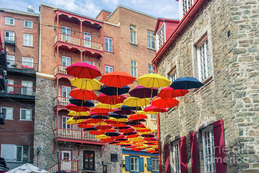 Umbrellas #1 Photograph by Tim Mulina