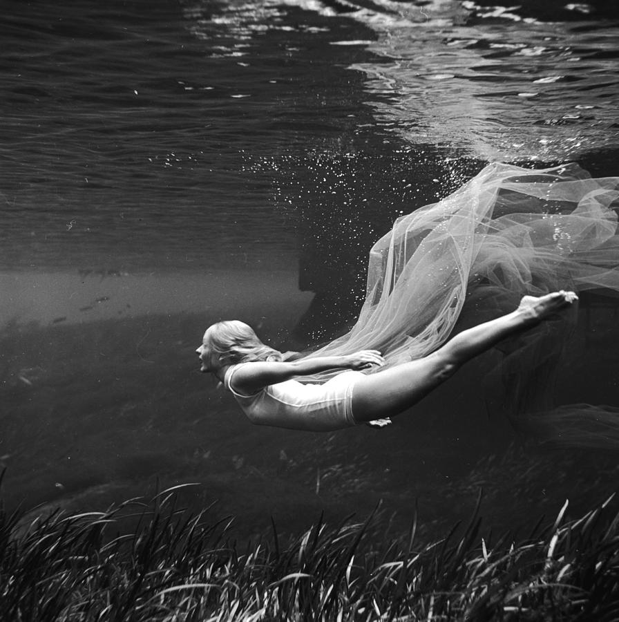 Underwater Ballet Photograph by Bruce Mozert