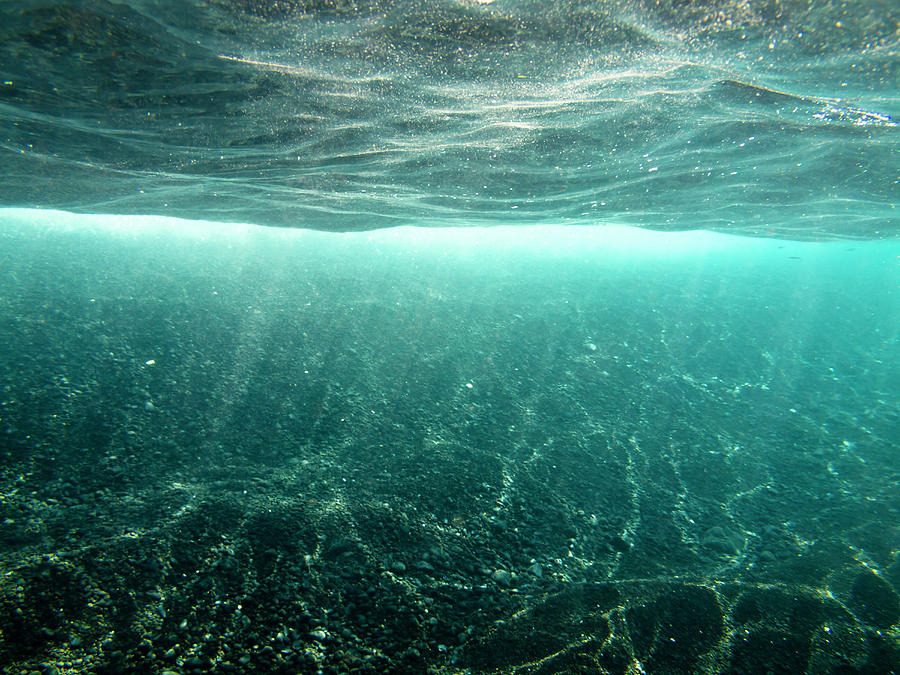 Underwater Sunlight #1 Photograph by Christopher Johnson