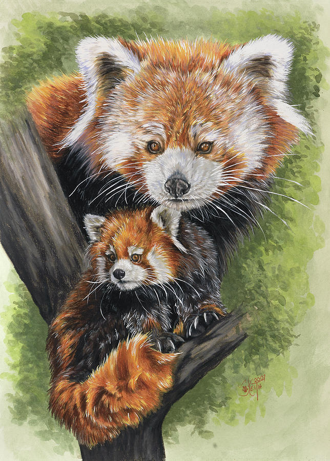 Red Panda Painting - Unique #1 by Barbara Keith