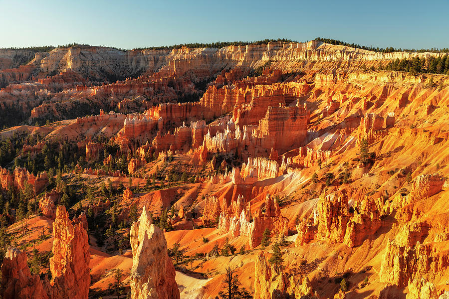 United States, Utah, Bryce Canyon National Park, Colorado Plateau, View Over The Hoodoos In Bryce Amphitheater At Sunset #1 Digital Art by Markus Lange
