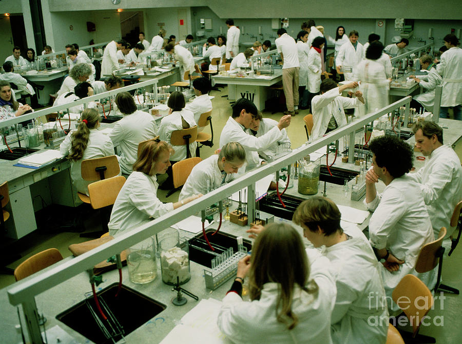 University Medical Students In Microbiology Lesson #1 Photograph by Maximilian Stock Ltd/science Photo Library