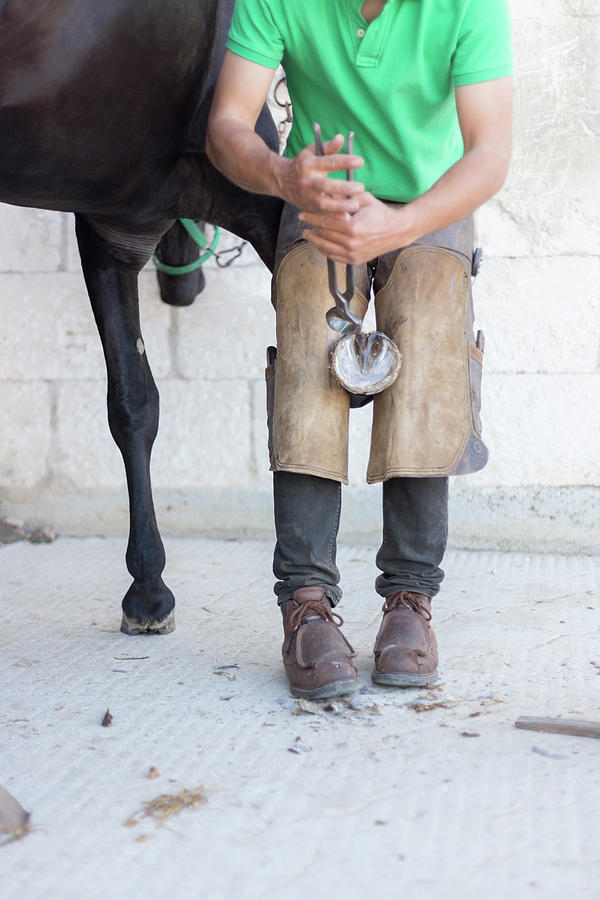 Tool Photograph - Unrecognisable Farrier Shoeing A Horse #1 by Cavan Images