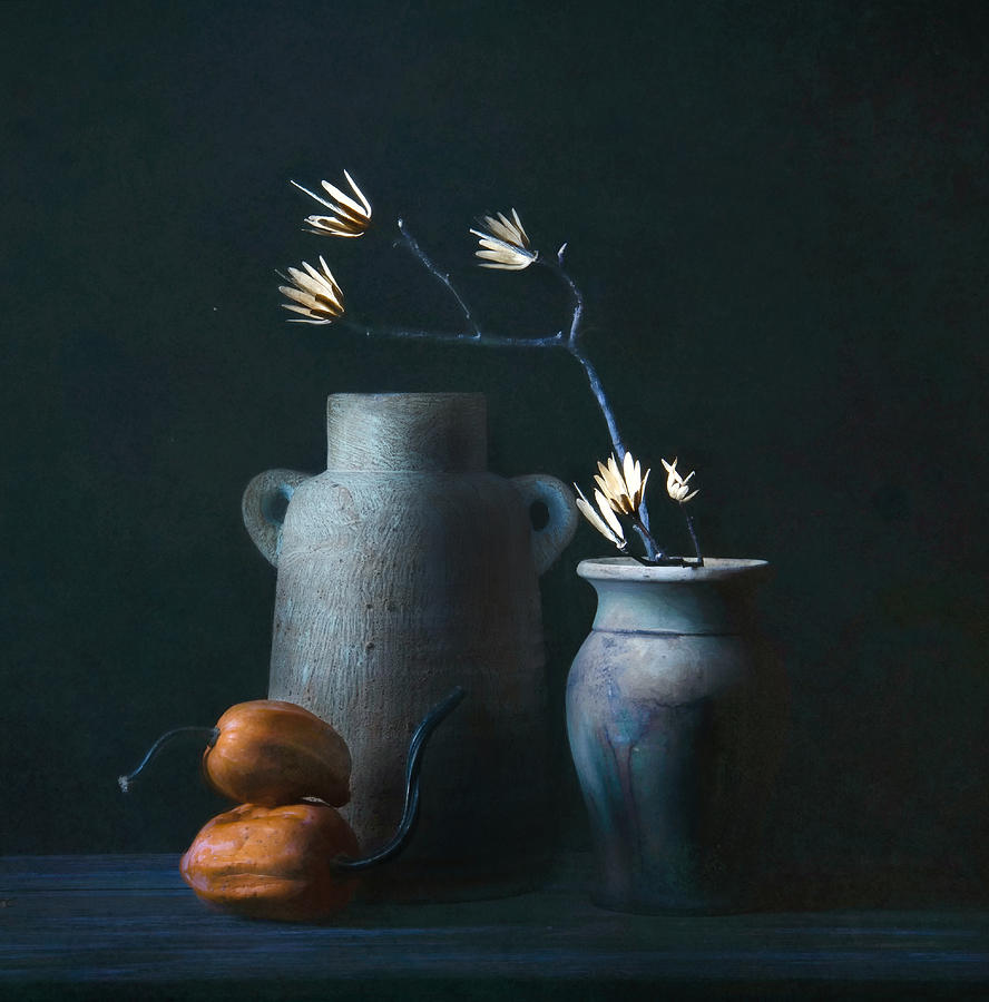 Still Life Photograph - Untitled #1 by Catherine W.
