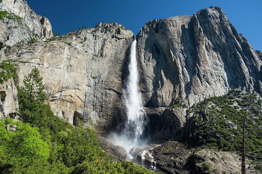Upper Yosemite Falls #1 Photograph by David L Moore
