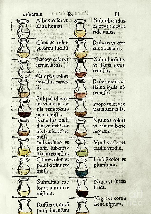 Urine Analysis Chart Photograph By Library Of Congress Rare Book And Special Collections 5135