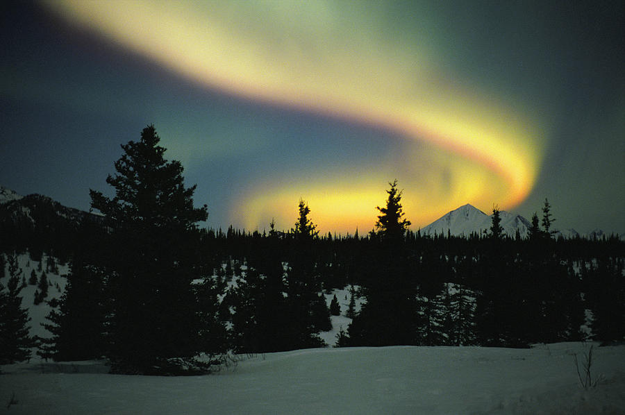 Usa, Alaska, Denali National Park #1 Photograph by Johnny Johnson