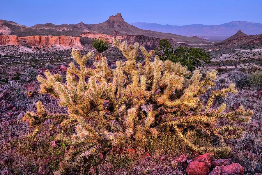 Usa, Arizona, Old Route 66, Landscape #1 Digital Art by Heeb Photos