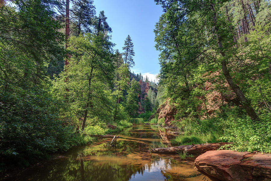 Usa, Arizona, Sedona, Oak Creek Canyon #1 Photograph by Michele Falzone