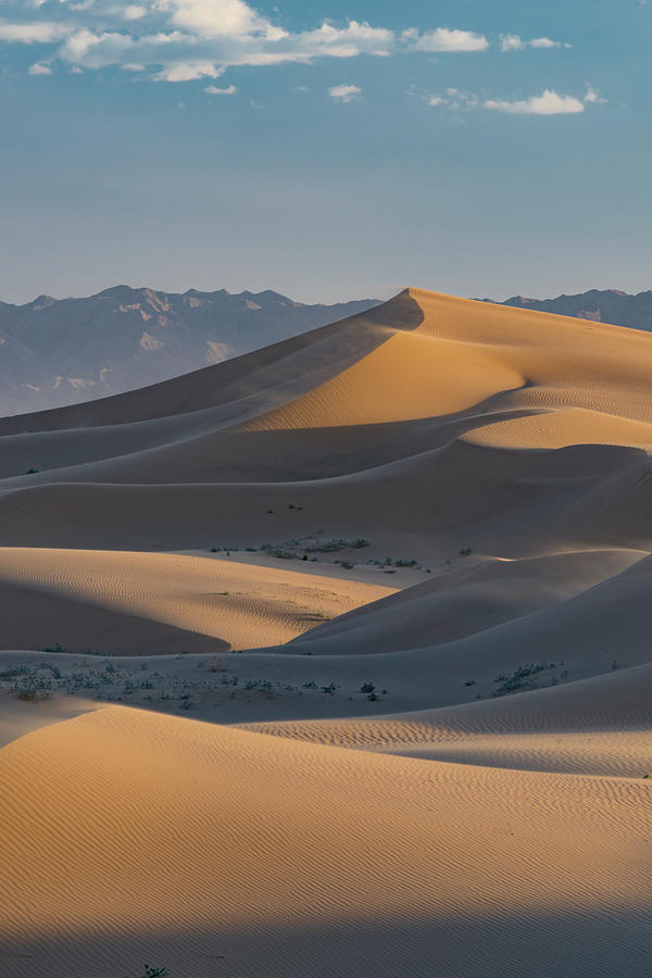 USA, California Windblown Sand Dunes Photograph by Judith Zimmerman ...