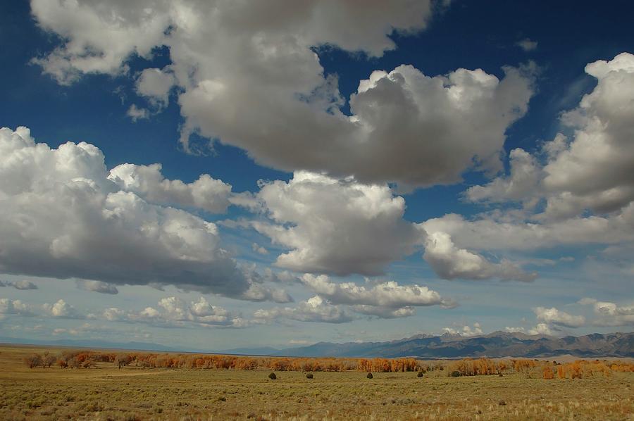 Usa, Colorado, Landscape #1 Digital Art by Heeb Photos