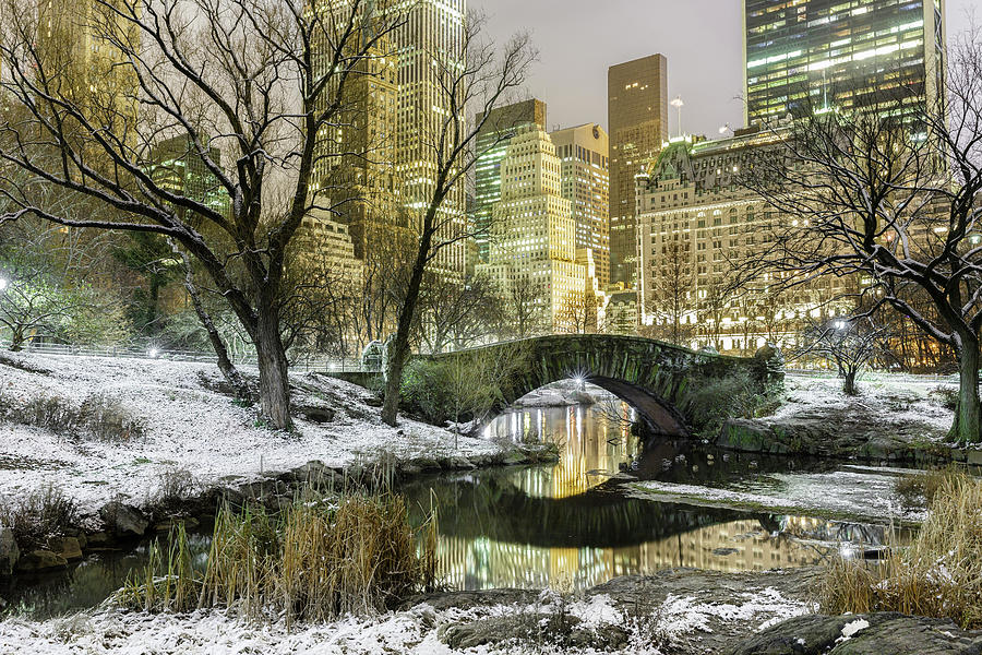 Usa, New York City, Central Park #1 Digital Art by Brook Mitchell