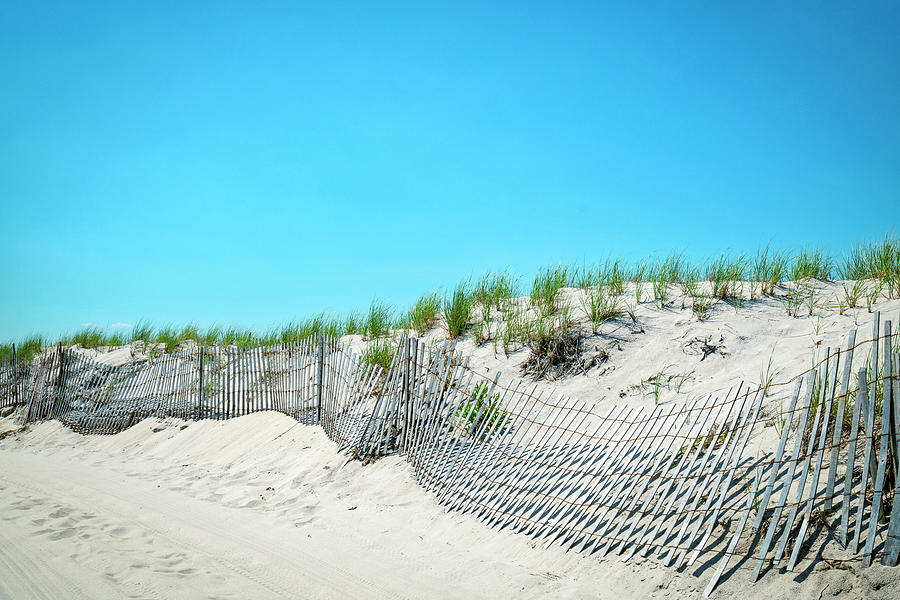 Usa, New York, Long Island, Jones Beach, Sandbreak And Dunes. #1 Digital Art by Alejandra Uribe Posada