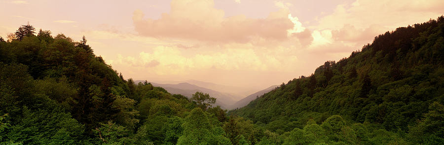 Usa, Tennessee, Great Smoky Mountains #1 Photograph by Panoramic Images