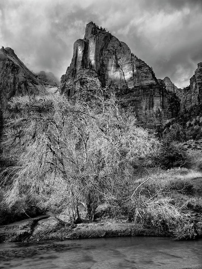 Zion National Park Photograph - USA, Utah, Zion National Park #1 by Ann Collins