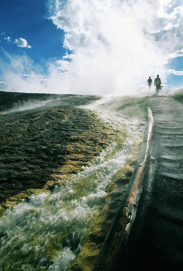Usa, Wyoming, Yellowstone National #1 Photograph by Stefano Salvetti