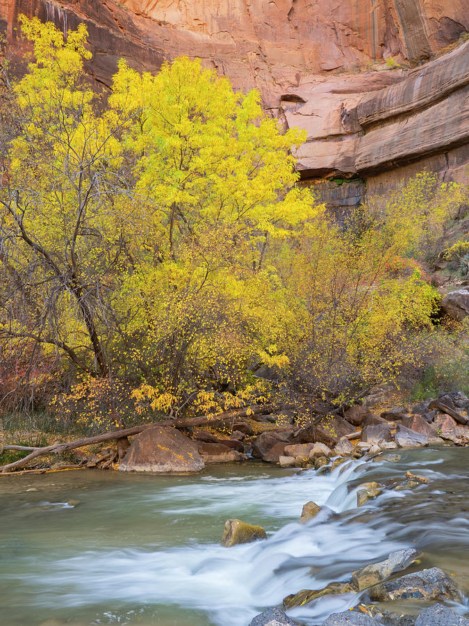 Utah, Zion National Park, Moon Photograph by Jamie and Judy Wild - Fine ...