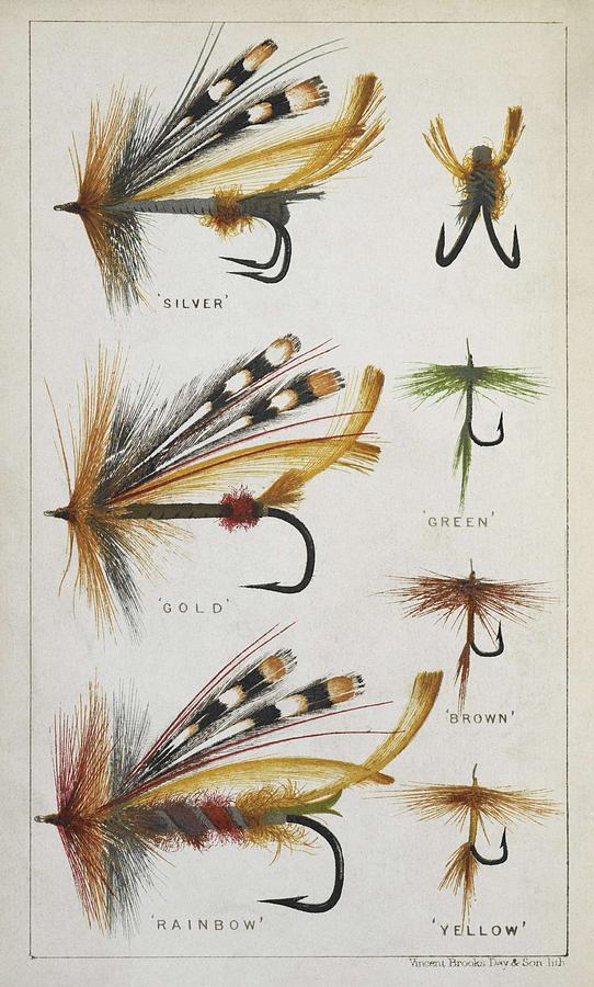 Various fishing flies and hooks Fishing tackle Painting by Celestial ...