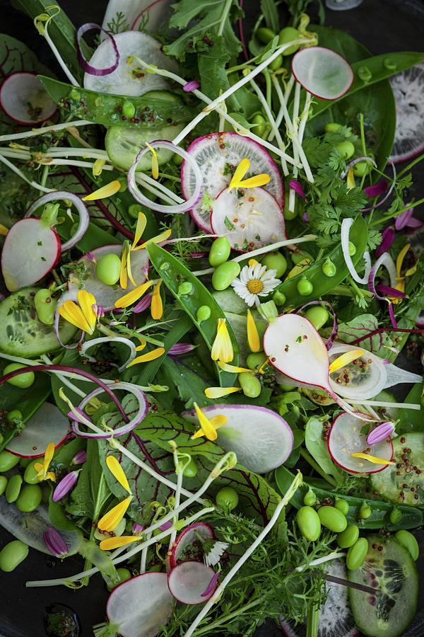 Vegan Spring Salad With Broad Beans, Radishes, Yarrow And Edible Flowers #1 Photograph by Eising Studio