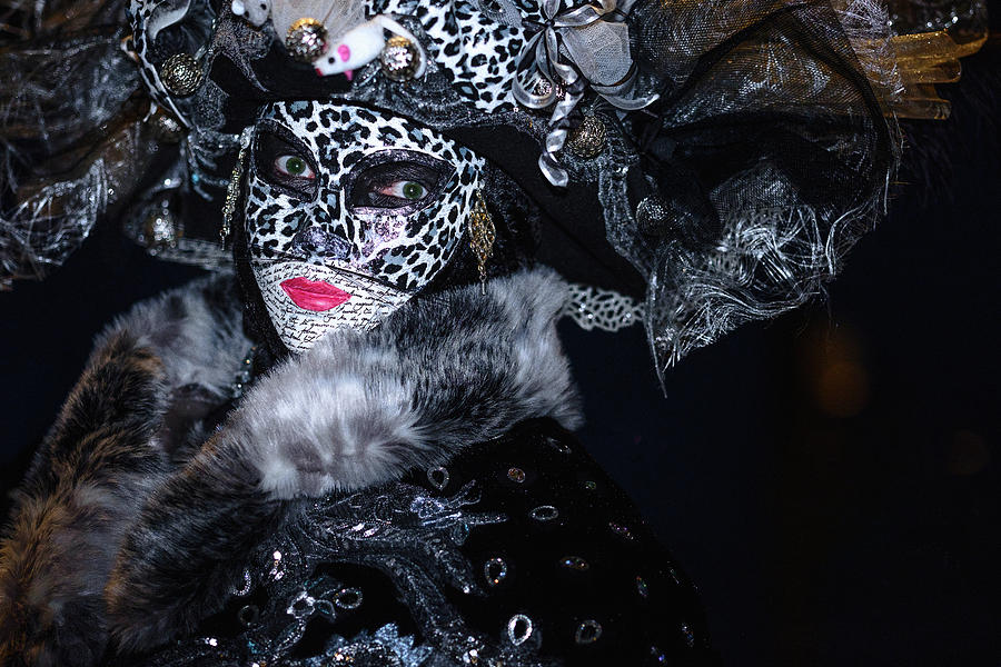 Venice Carnival Portrait Photograph by Adele Buttolph - Fine Art America