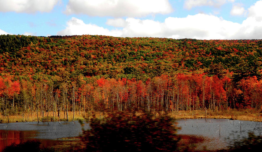 Autumn in Vermont on Shore of a Lake Photograph by Linda Stern