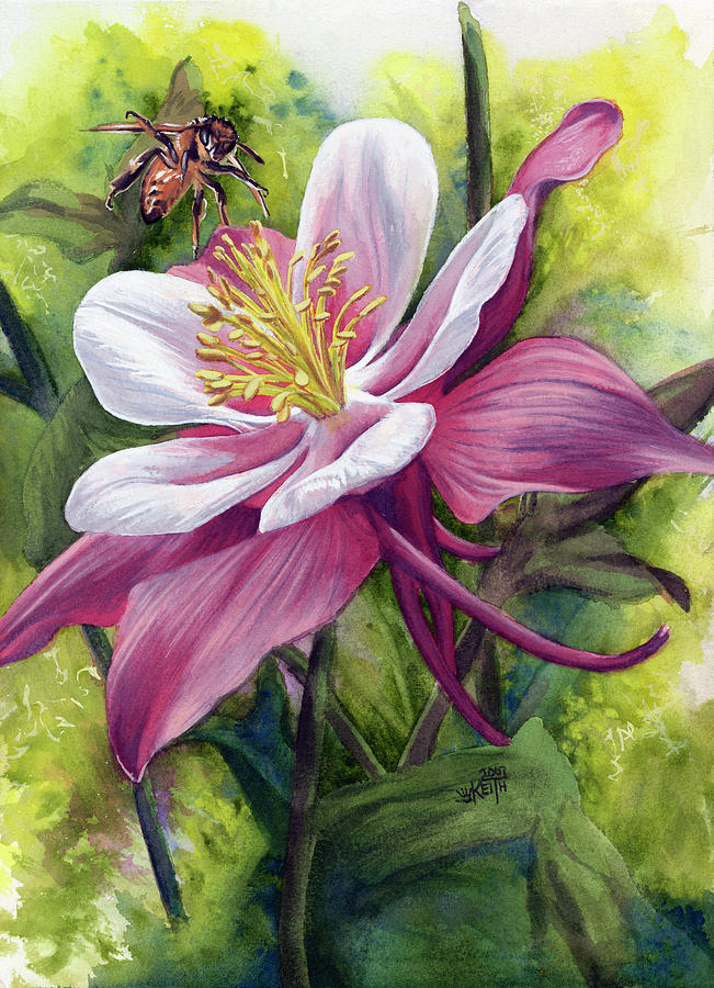 Columbine Flower Painting - Vernal #1 by Barbara Keith