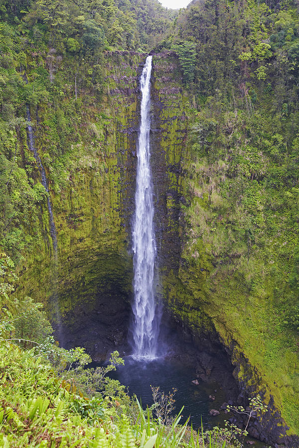 View At Waterfall At Akaka Falls State Park, Big Island, Hawaii, Usa, America #1 Photograph by Brigitte Merz