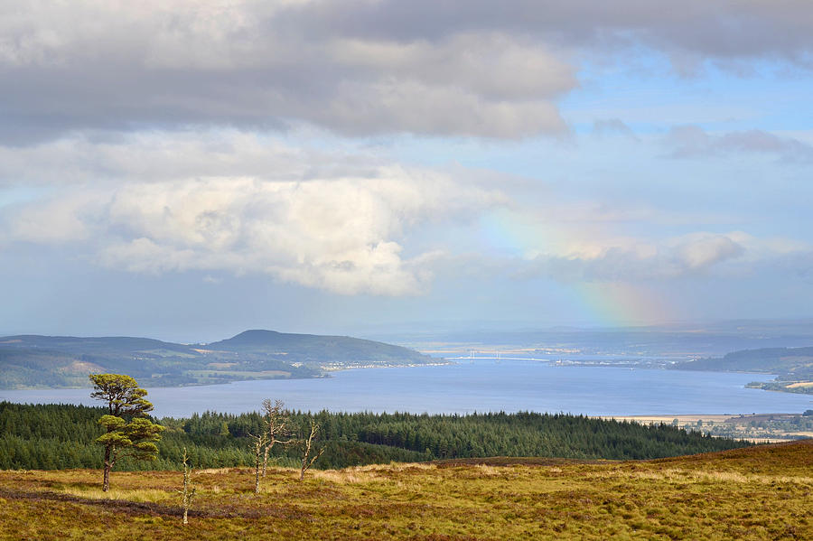 View Down the Beauly Firth #1 Photograph by Gavin MacRae