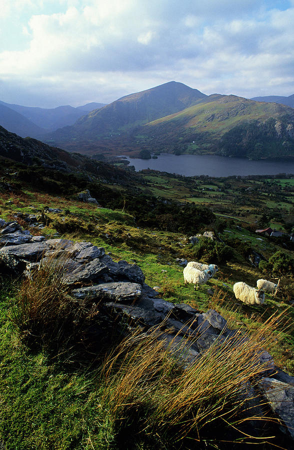 View From Healy Pass, Beara Peninsula, County Kerry, Ireland, Europe #1 Photograph by H.& D. Zielske