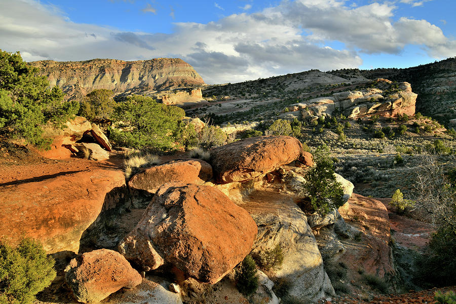 View from Rim Rock Drive in Colorado National Monument #1 Photograph by Ray Mathis