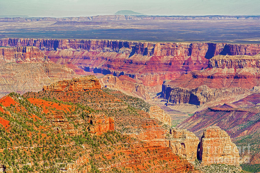 View From The North Rim Of The Grand Canyon by Marek Poplawski View From The North Rim Of The Grand Canyon by Marek Poplawski