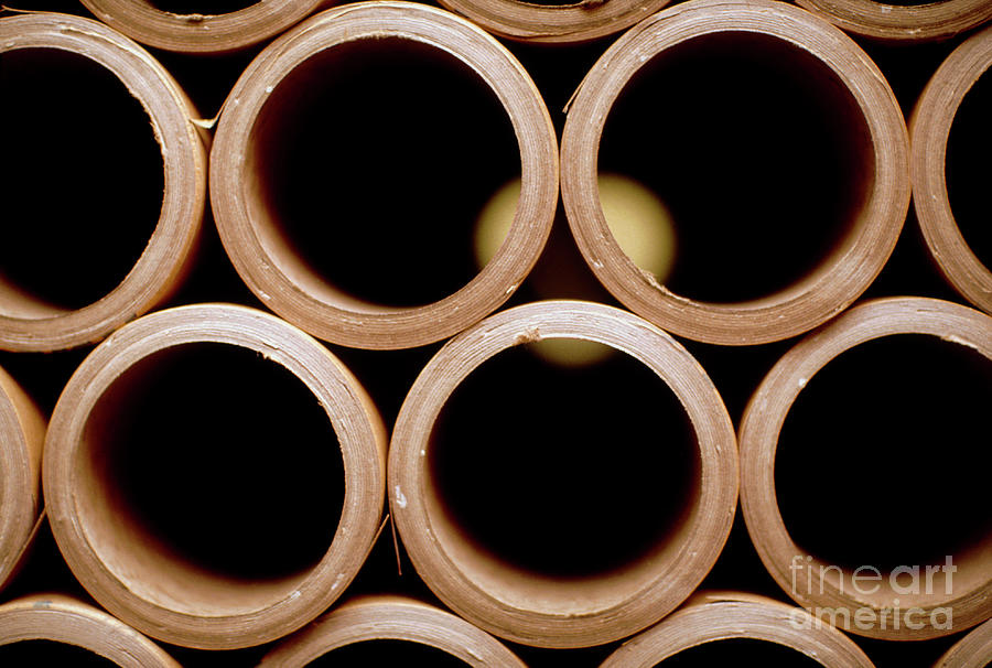 View Of A Stack Of Cardboard Tubes #1 Photograph by Geoff Tompkinson/science Photo Library