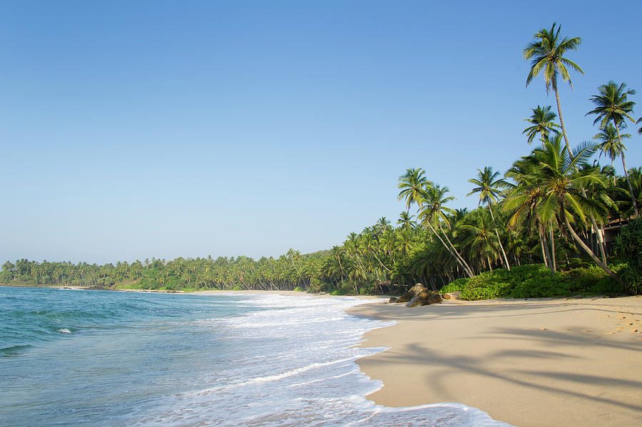 View Of Beach And Palm Trees In Tangalle, Hambantota District, Sri ...