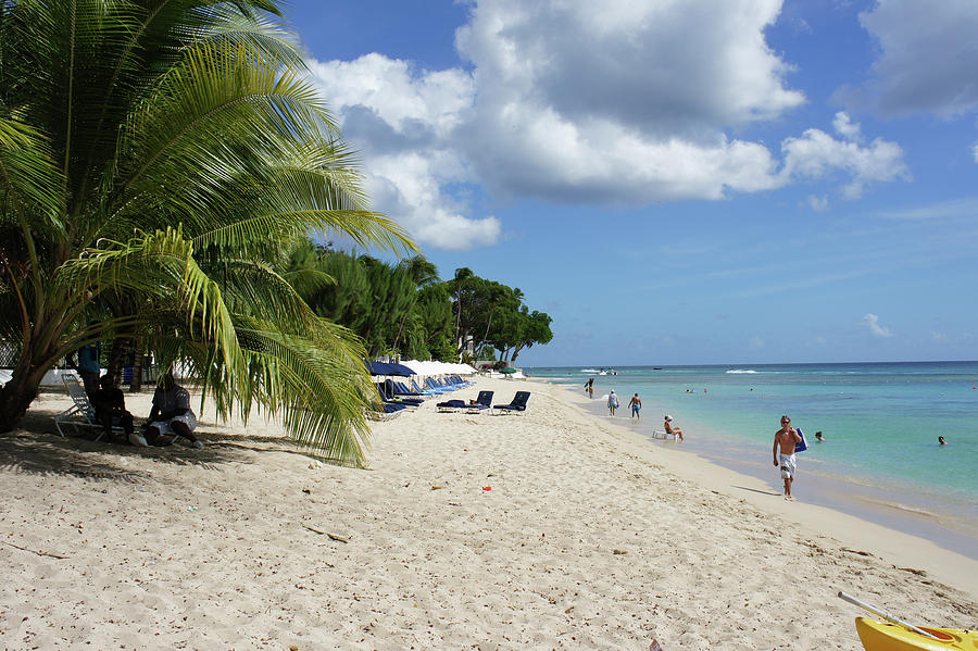 View Of Lesser Antilles Island At Caribbean, Barbados Photograph by ...